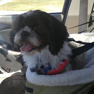 Meet your Posher, Kathy